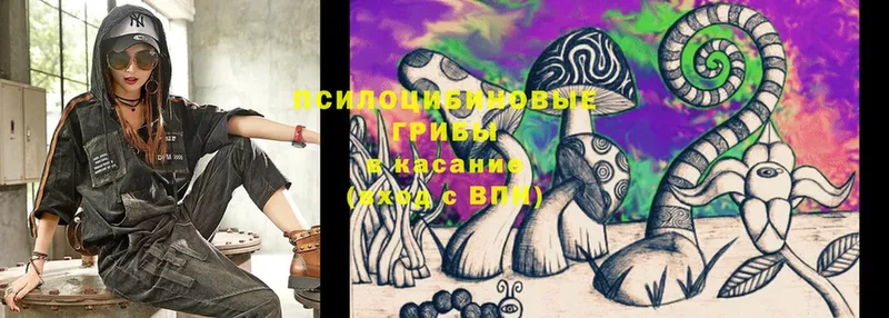 mega вход  это как зайти  Псилоцибиновые грибы Magic Shrooms  Бор 